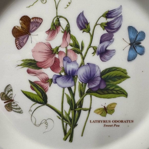 PORTMEIRION BOTANIC GARDEN 10.5” Dinner Plate SWEET PEA pattern Made in England - Picture 2 of 5